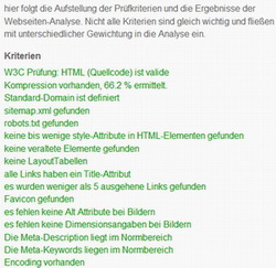 Homepageanalyse von Seitoskop